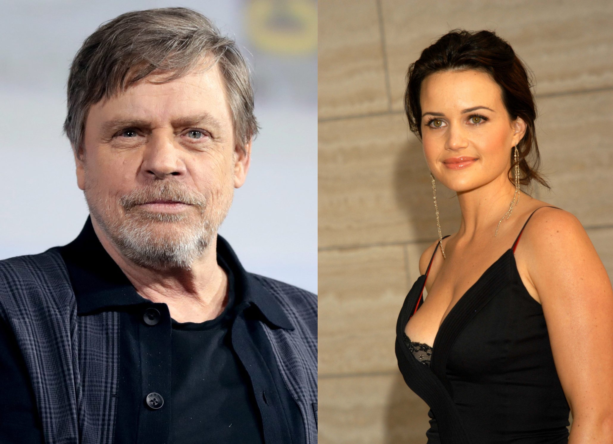 A Queda da Casa de Usher': Carla Gugino e Mark Hamill são